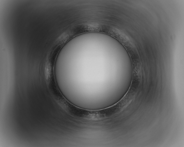 X0000101990744200807251225