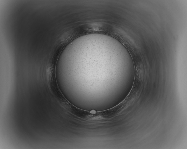 X0000101990747200807251225