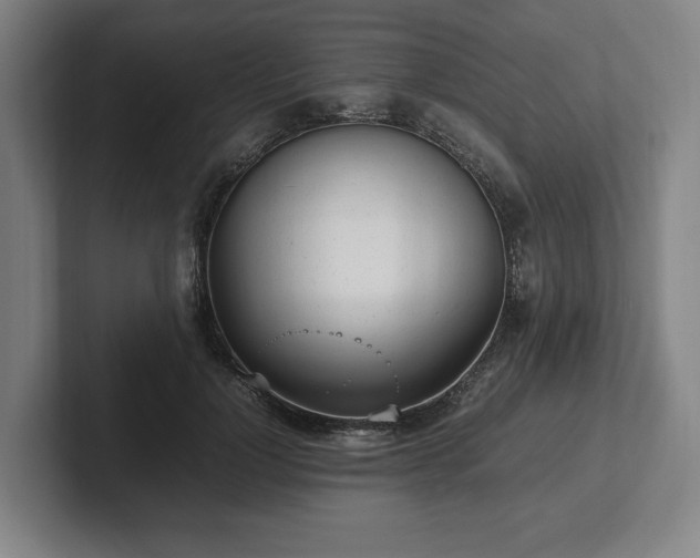 X0000101990748200807251225