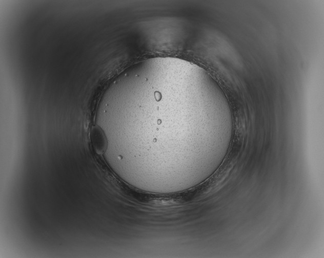 X0000101990749200807251225