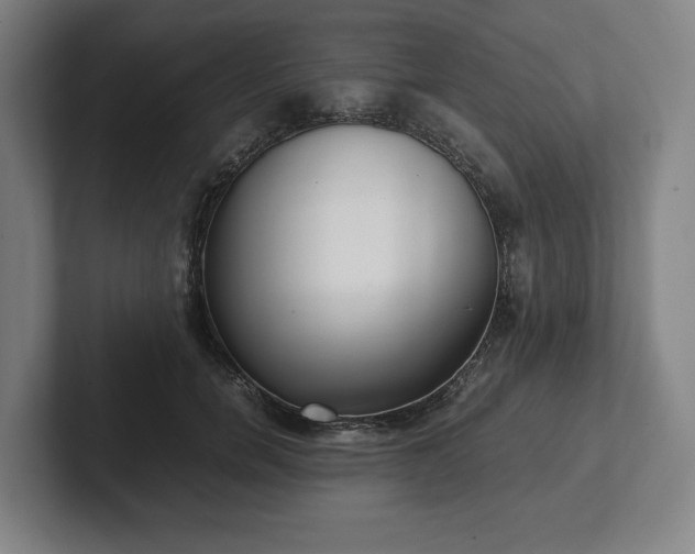 X0000101990750200807251225