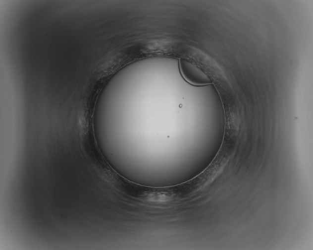 X0000101990751200807251226