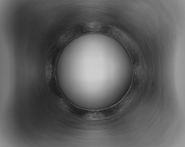 X0000101990752200807251226