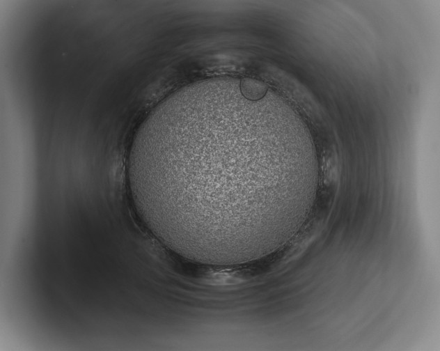 X0000101990753200807251226