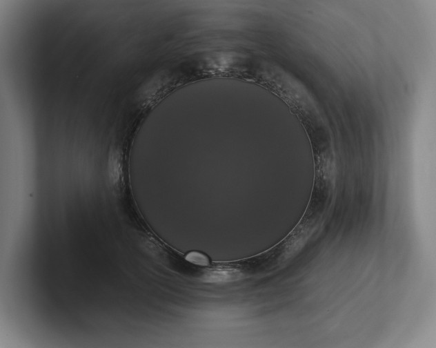 X0000101990754200807251226