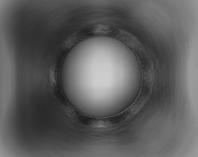 X0000101990755200807251226