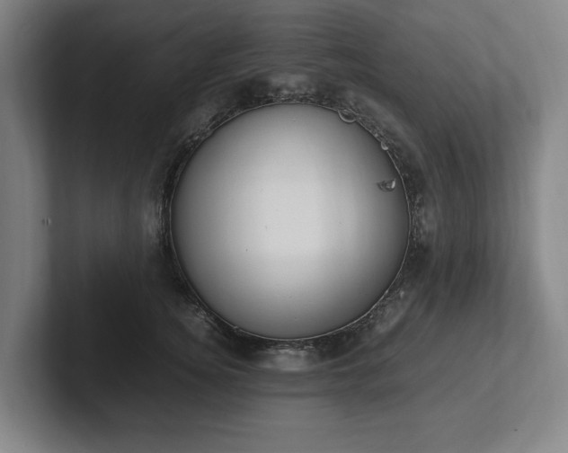 X0000101990756200807251226