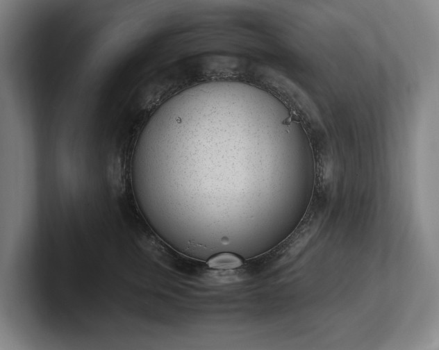 X0000101990759200807251226