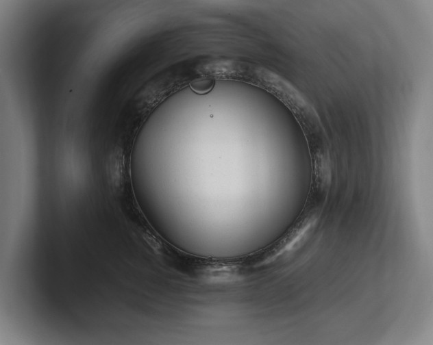 X0000101990760200807251226