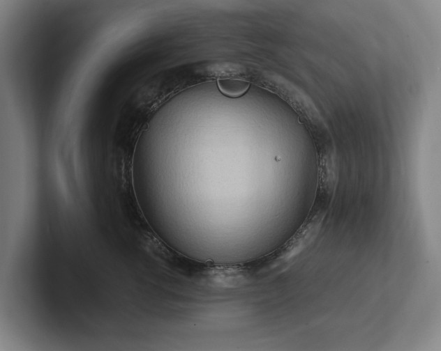 X0000101990762200807251226