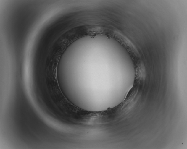 X0000101990764200807251226