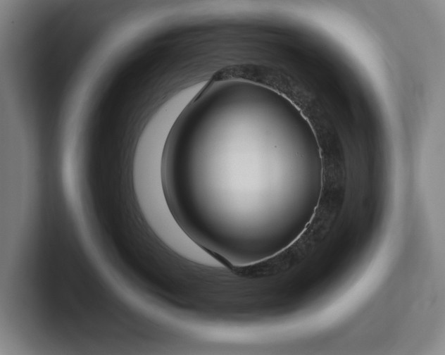 X0000101990766200807251226