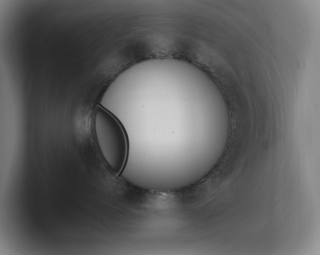 X0000101990768200807251226