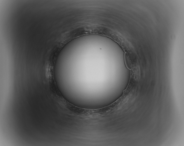 X0000101990770200807251225
