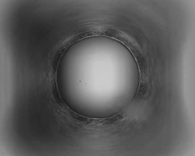 X0000101990773200807251225