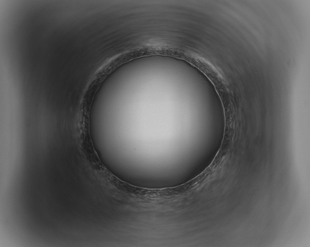 X0000101990776200807251225