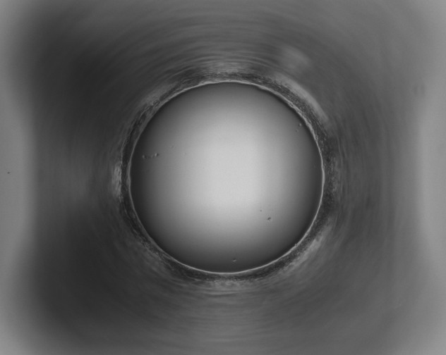 X0000101990777200807251225