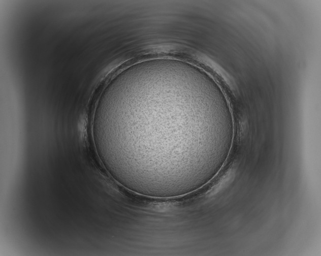 X0000101990778200807251225