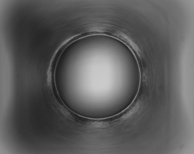 X0000101990779200807251225