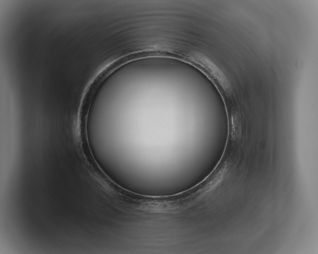 X0000101990780200807251225