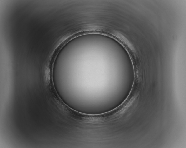 X0000101990781200807251225