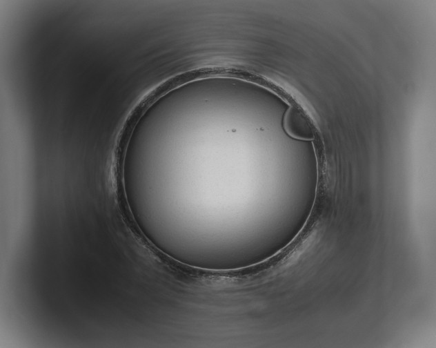 X0000101990783200807251225
