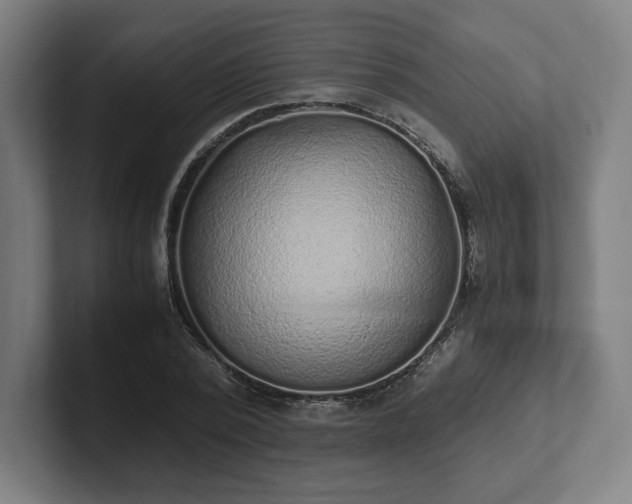 X0000101990784200807251225