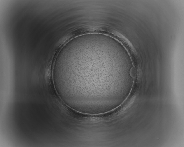 X0000101990785200807251225