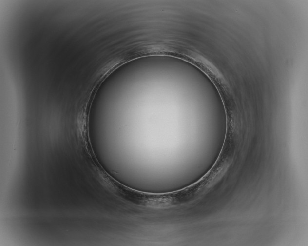 X0000101990793200807251225