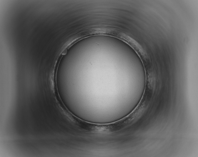 X0000101990794200807251225