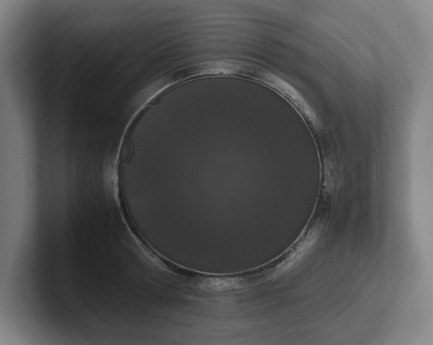 X0000101990802200807251225