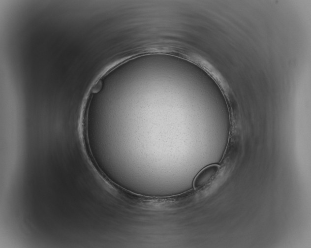 X0000101990803200807251225