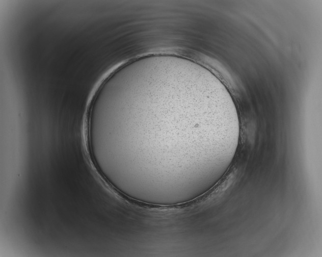 X0000101990804200807251225
