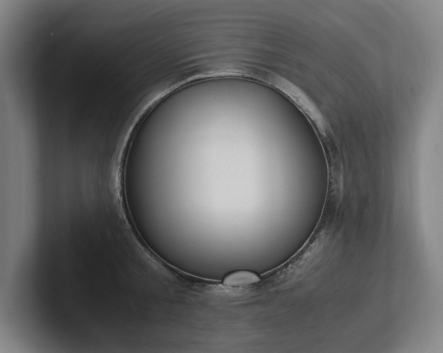 X0000101990805200807251225