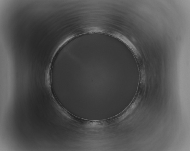 X0000101990806200807251225