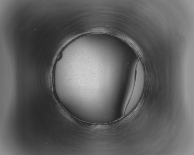 X0000101990808200807251225