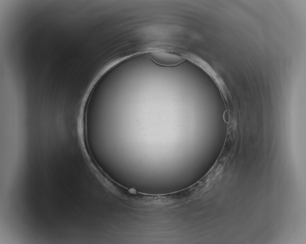 X0000101990811200807251225