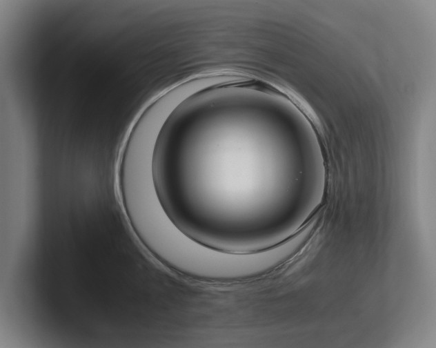 X0000101990813200807251225