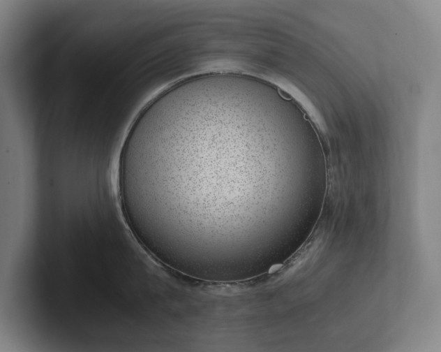 X0000101990815200807251225