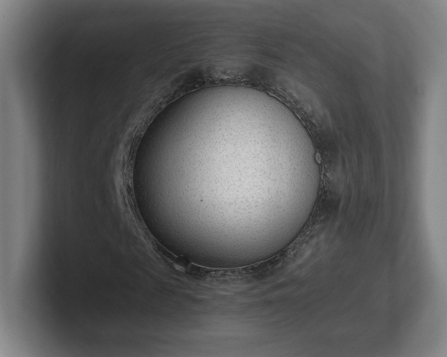 X0000101990817200807251224