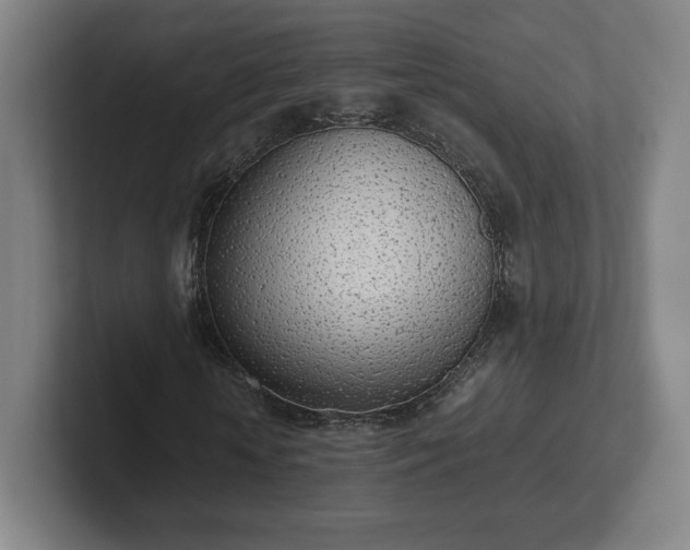 X0000101990818200807251224