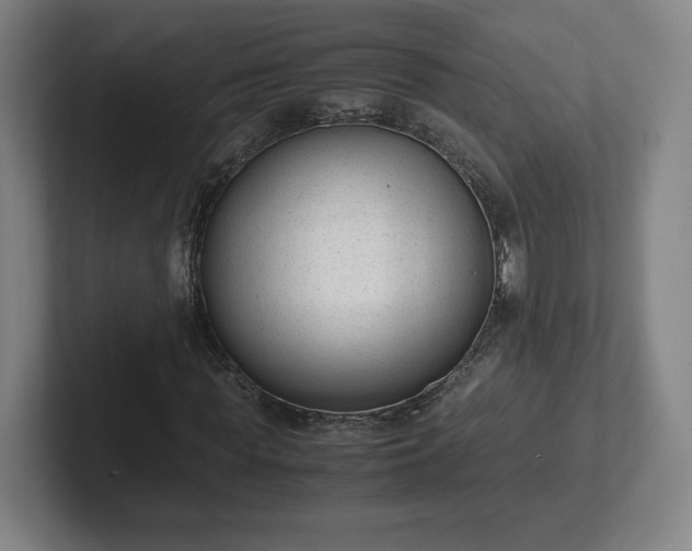 X0000101990819200807251224