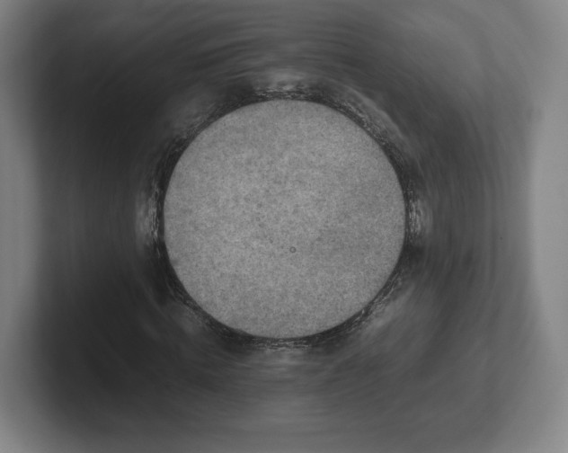 X0000101990820200807251224