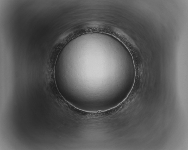 X0000101990822200807251224
