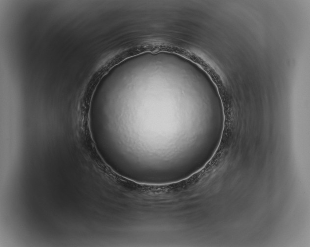 X0000101990823200807251224