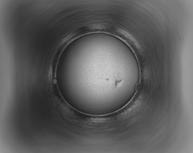 X0000101990825200807251224