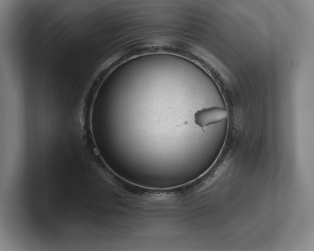 X0000101990826200807251224