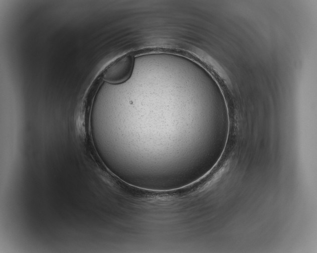 X0000101990830200807251224