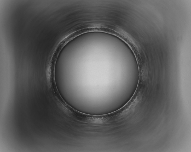 X0000101990831200807251224