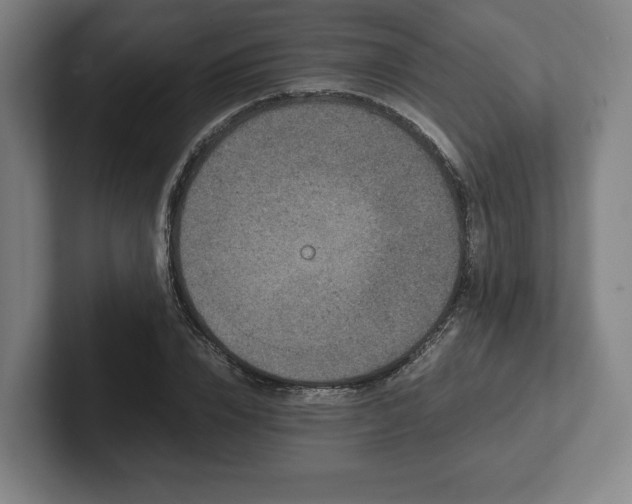 X0000101990832200807251224